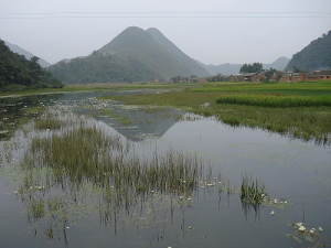 文山州砚山县阿猛镇卡子村村庄远景