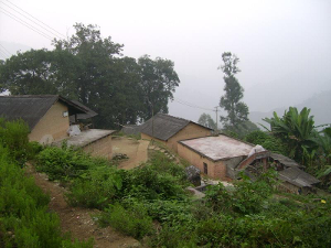 重庆市奉节县竹园镇自然村 云南省东川区舍块乡九龙村岔河自然村 云南