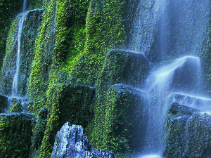 高山流水(汉语成语)