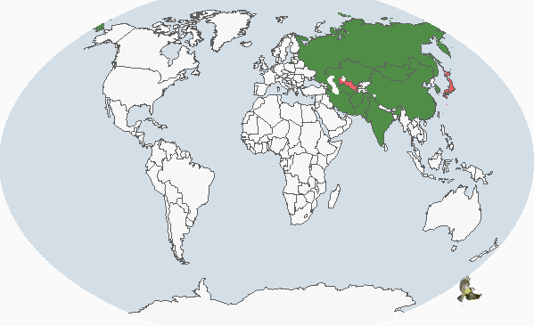 白鹤在中国主要分布在从东北到长江中下游,迁徙时见于河北(滦河口