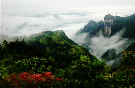 陡门乡