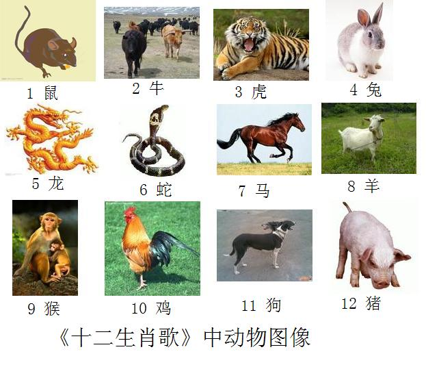 十二生肖中四胃助食的动物是什么