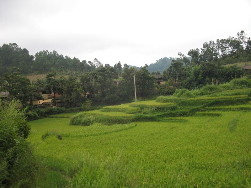 龙路村(云南省文山州砚山县者腊乡下辖村 搜狗百科