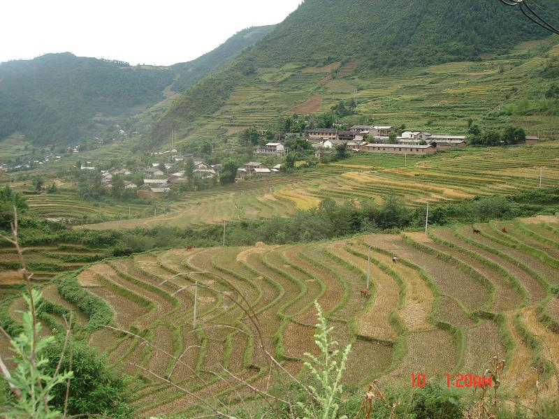 云南省泸水县称杆乡称杆村村庄全貌