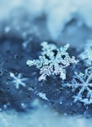 雪