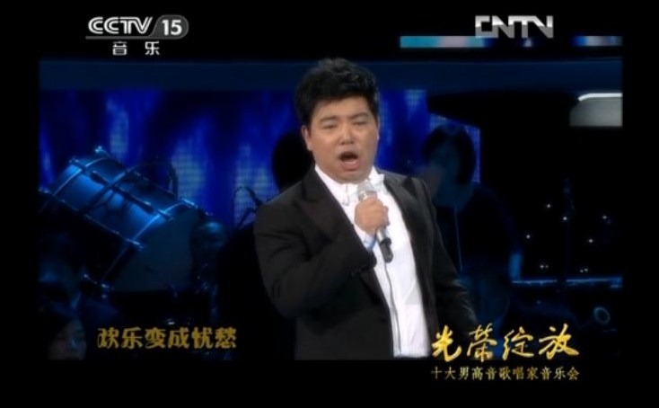 的"云南省青年歌手电视大奖赛"专业组二等奖;参加2005云南省青年歌手