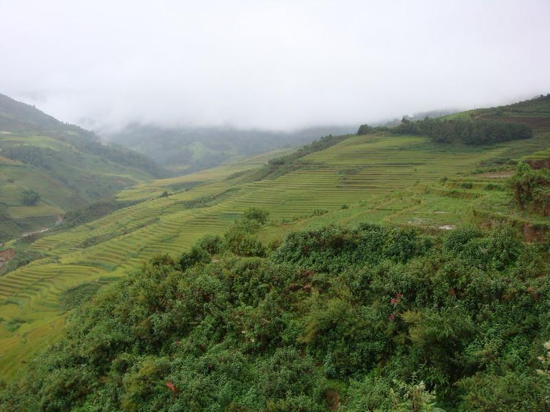 南美村(云南省临沧市临翔区南美拉祜族乡南美村)