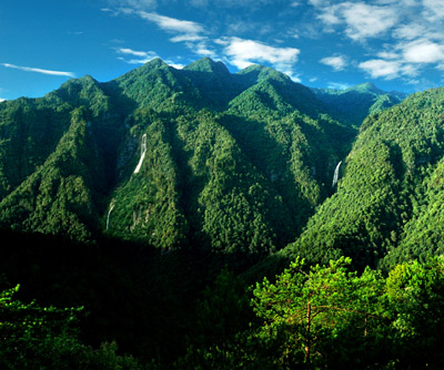 山五指峰 湖南张家界五指峰 安徽天柱山景观名    五指峰是井冈山主峰