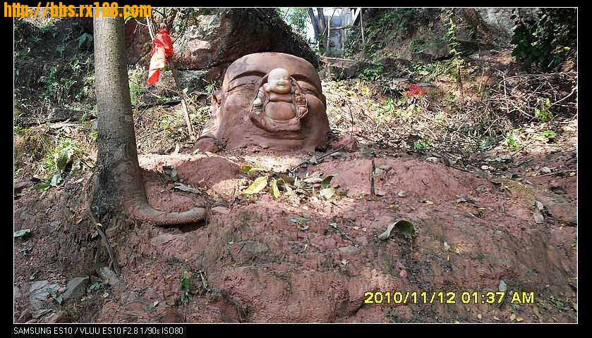 永福特色的福寿操,或是放声歌唱……歌声缭绕,舞姿翩翩,凤山公园热闹