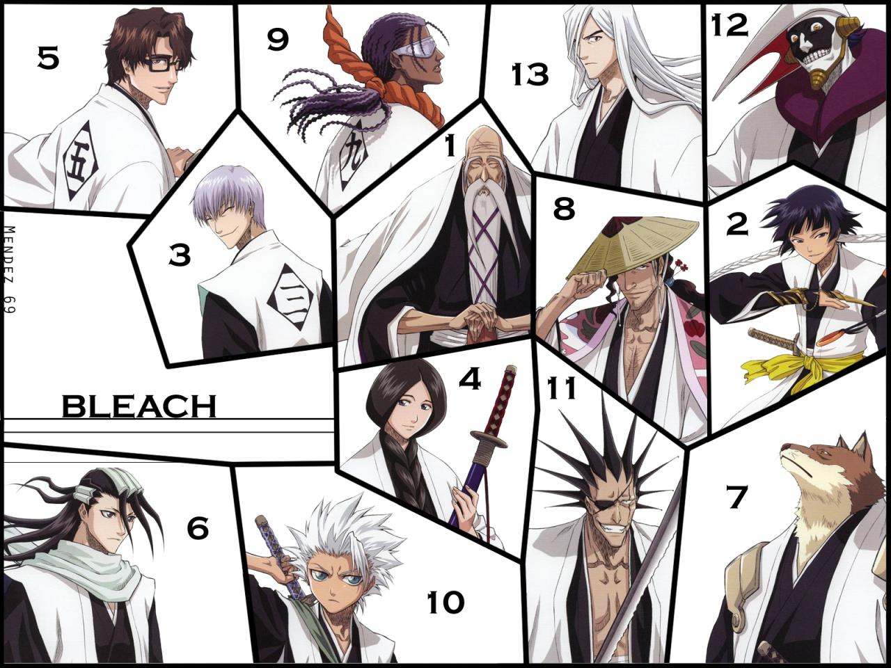死神(日本集英社漫画《bleach》)