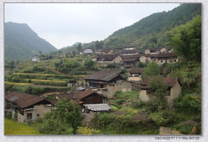 岭北村[浙江省景宁县外舍乡岭北村]是什么 关于岭北村[浙江省景宁县外