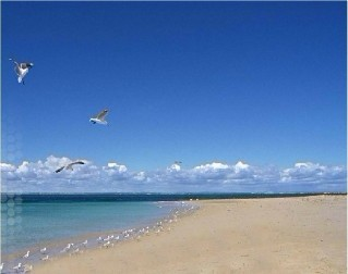 日照金沙滩海水浴场