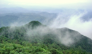 龙华山