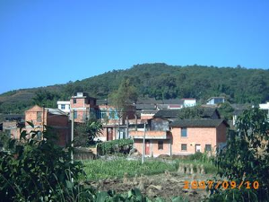 某乡镇现在人均粮食(3)