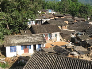 我的世界林地府邸地图_人均有林地面积