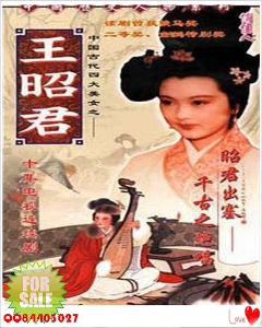 王昭君(1984年香港亚视电视剧)-百科