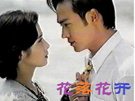 花落花开(中国台湾沈怡执导电视连续剧) - 搜狗百科