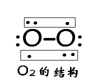 氧气的结构结构如右图所示,o分子中并不存在双键,氧分子里形成了两