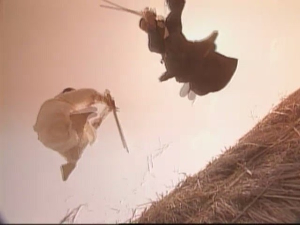 七侠五义(1994年赵大深制作台湾电视剧)