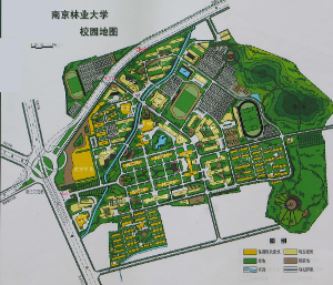 南京林业大学-校园地图