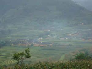 岩子头村