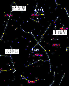 牛郎星