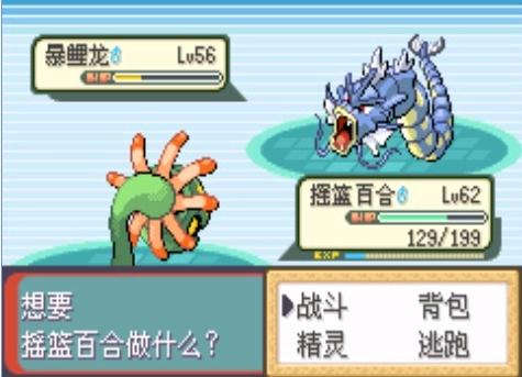 口袋妖怪绿宝石，求资源