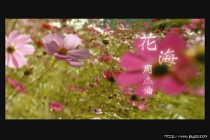 花海的歌曲封面