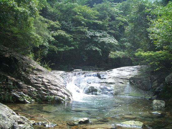 横渡镇(浙江三门县横渡镇) - 搜狗百科