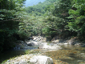 横渡镇(浙江三门县横渡镇) - 搜狗百科