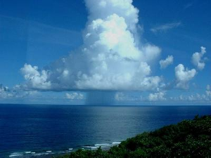 弧状积雨云(cumulonimbus arcus) 秃积雨云(cumulonimbus calvus) 鬃