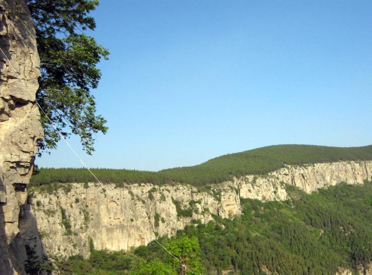 瑞安陶山应聘 陶山保险公司