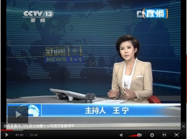 王宁(中央电视台新闻频道主持人)