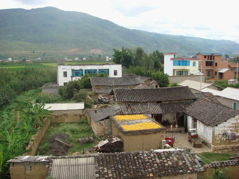 东邻西北勒乡,南邻三义居委会,西邻雨过铺镇,北邻草坝镇.