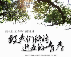 致我们终将逝去的青春