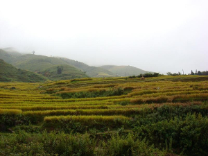 田坝自然村