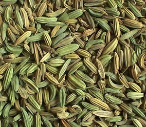 入药部分:茴香成熟的果实(小茴香)