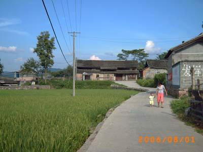 万市镇平山村有多少人口_大垌镇平山村村委