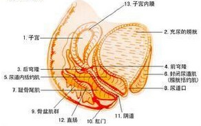 尿路细菌感染