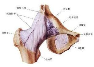 多发性关节挛缩症