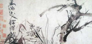 牡丹蕉石图  徐渭 明代书画家