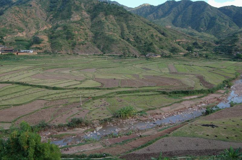 巫东树村