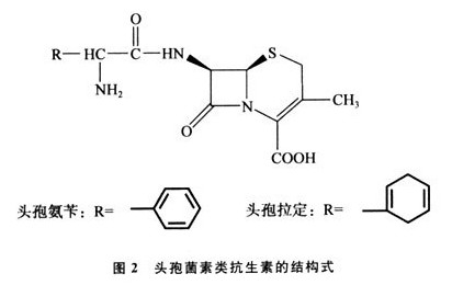 头孢菌素类抗生素结构式