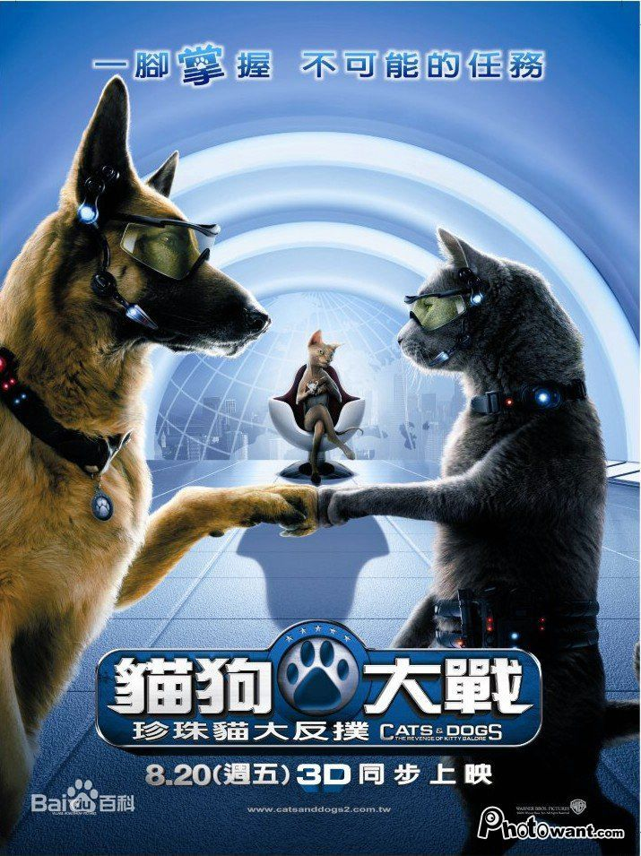 猫狗大战1