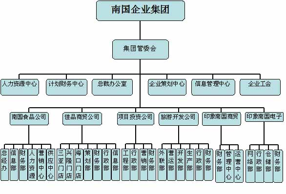 南国食品公司组织结构