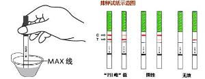 试孕纸-百科