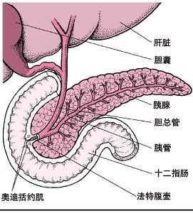 胰腺破裂