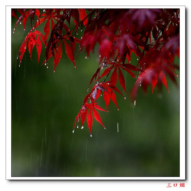 太阳雨