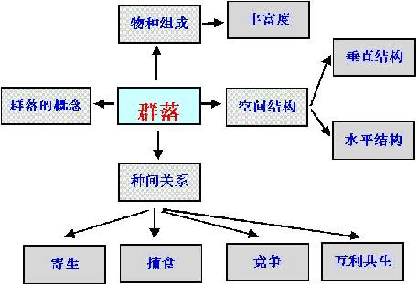 种群结构 搜狗百科