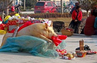 清明节,寒食节,端午节,中元节,重阳节是祭祖日.